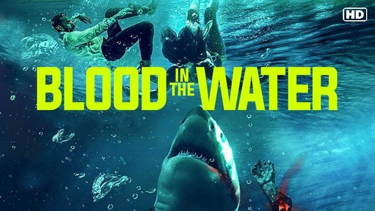 poster Cá Mập Dưới Nước Blood in the Water