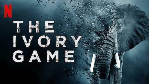 poster Cuộc chiến ngà voi The Ivory Game