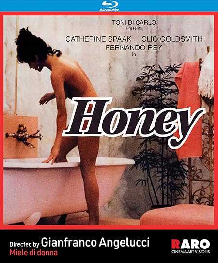 poster Khách Sạn Dục Vọng Honey