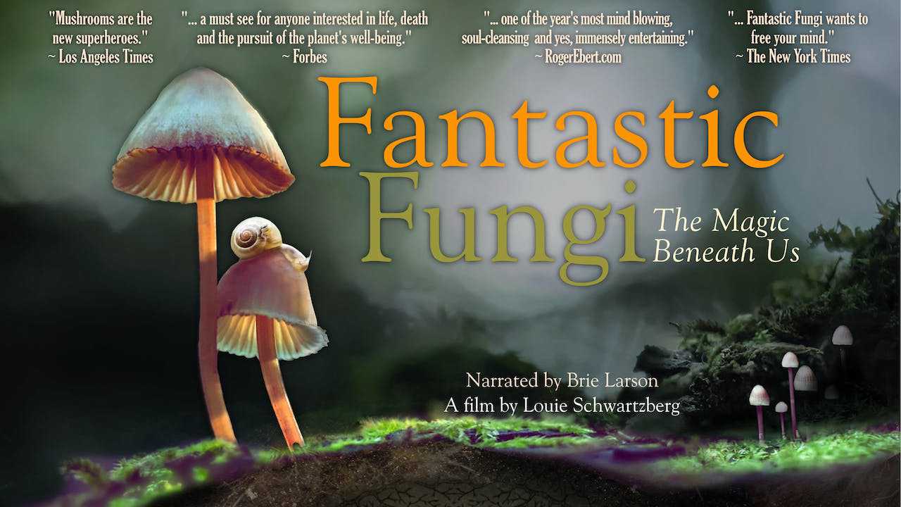 poster Thế giới nấm diệu kỳ Fantastic Fungi