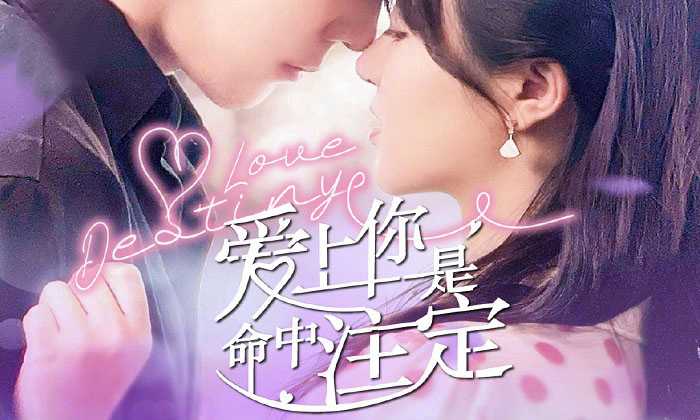 poster Yêu Em Là Định Mệnh Love Destiny