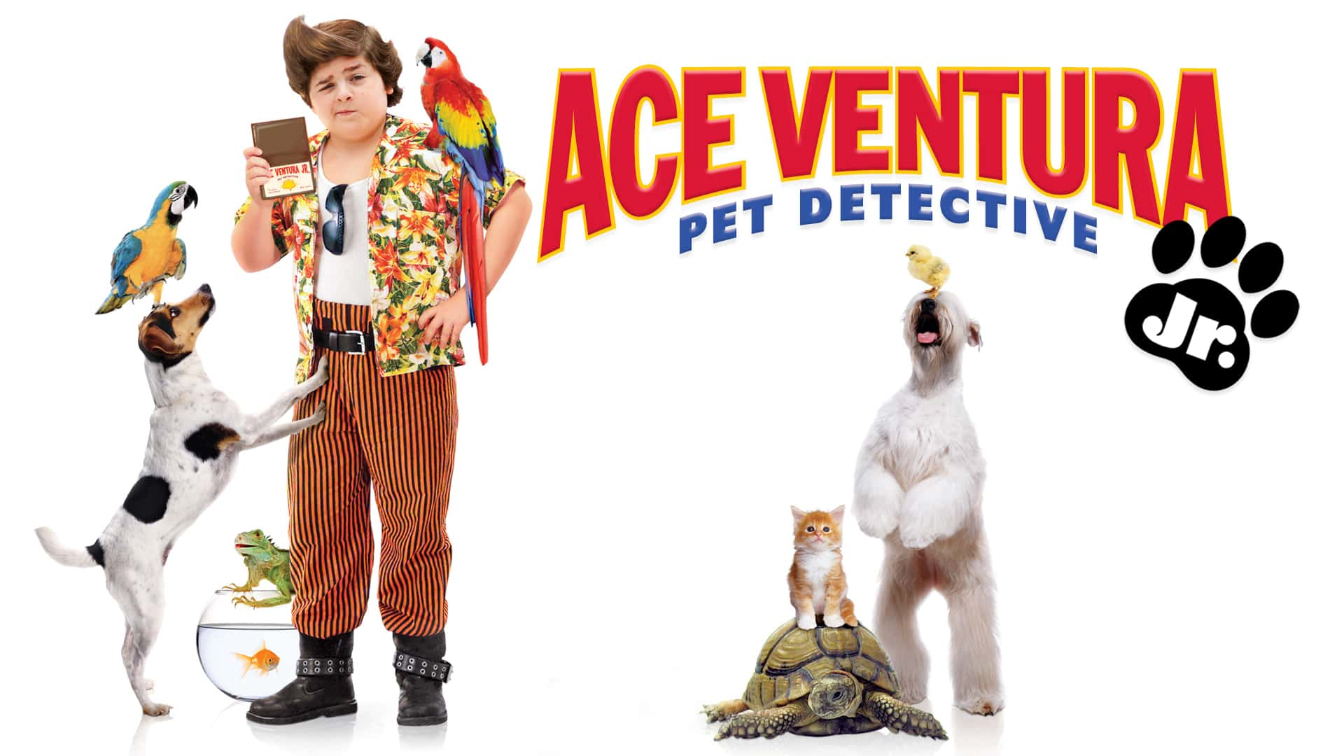 poster Ace Ventura: Pet Detective Jr. Ace Ventura: Pet Detective Jr.