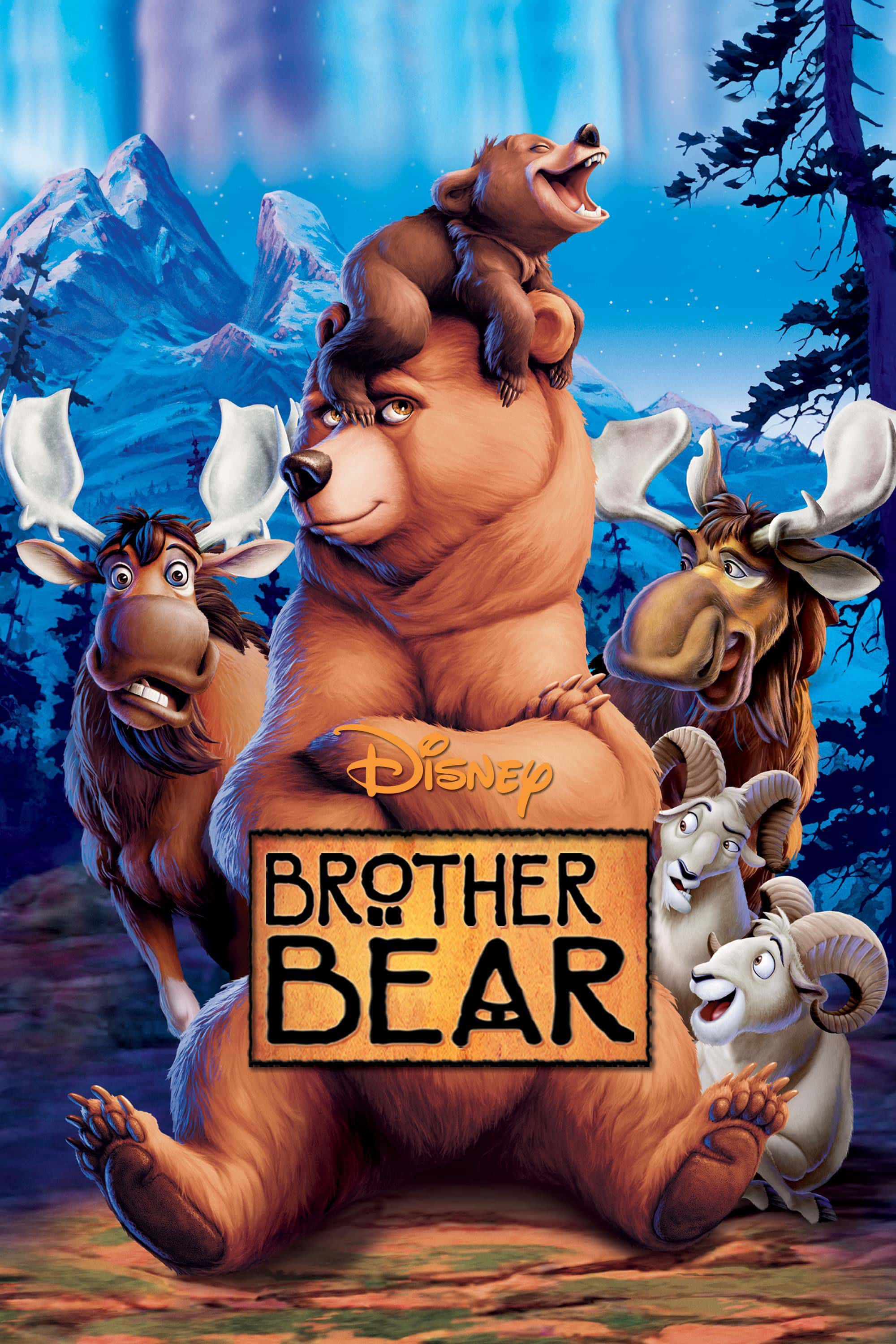 poster Anh Em Nhà Gấu Brother Bear