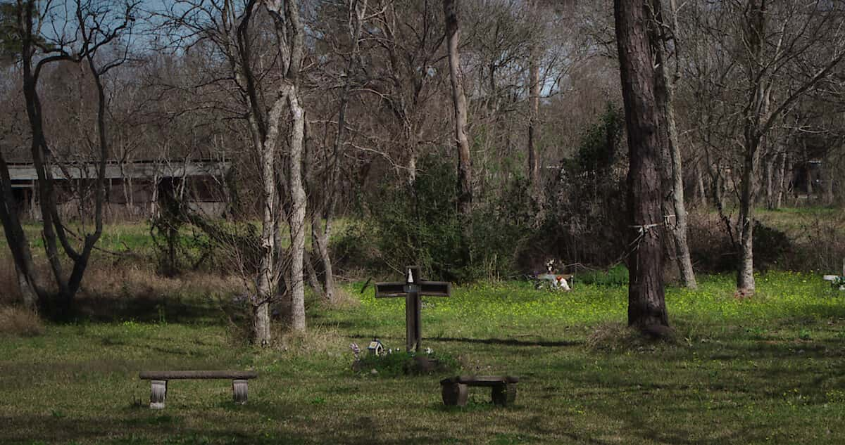 poster Cánh đồng chết Texas Texas Killing Fields