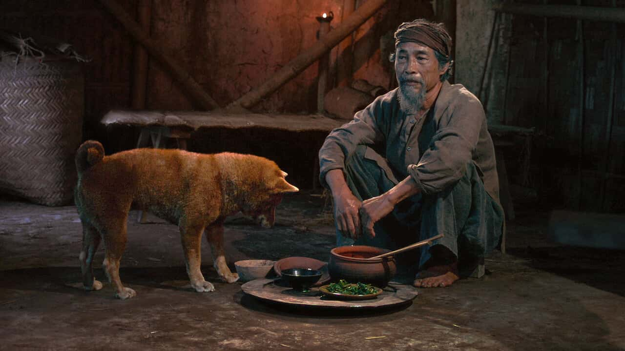 poster Cậu Vàng The Old Man's Dog