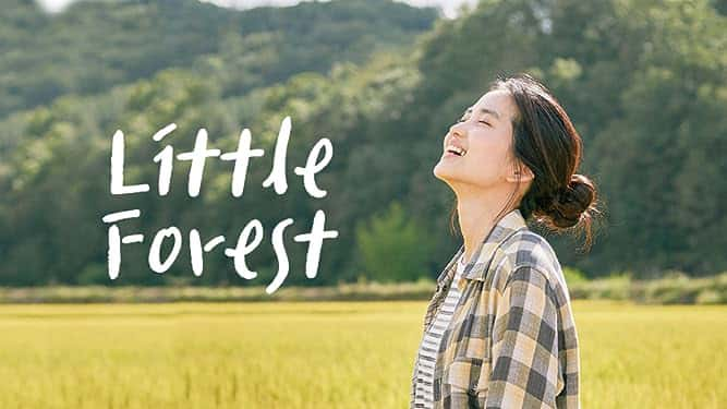 poster Khu Rừng Nhỏ Little Forest