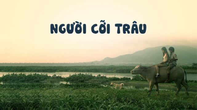 poster Người Cỡi Trâu Buffalo Rider