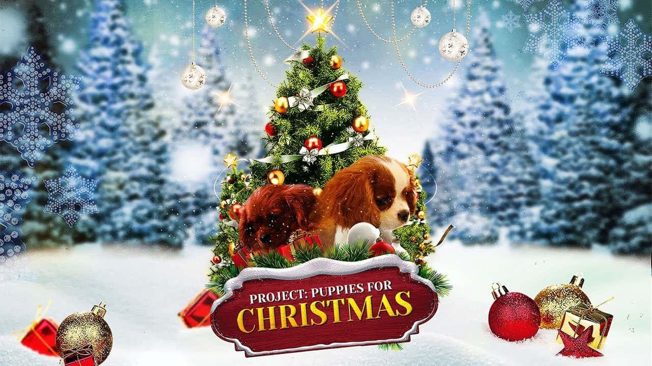 poster Quà Giáng Sinh Bất Ngờ Project: Puppies for Christmas