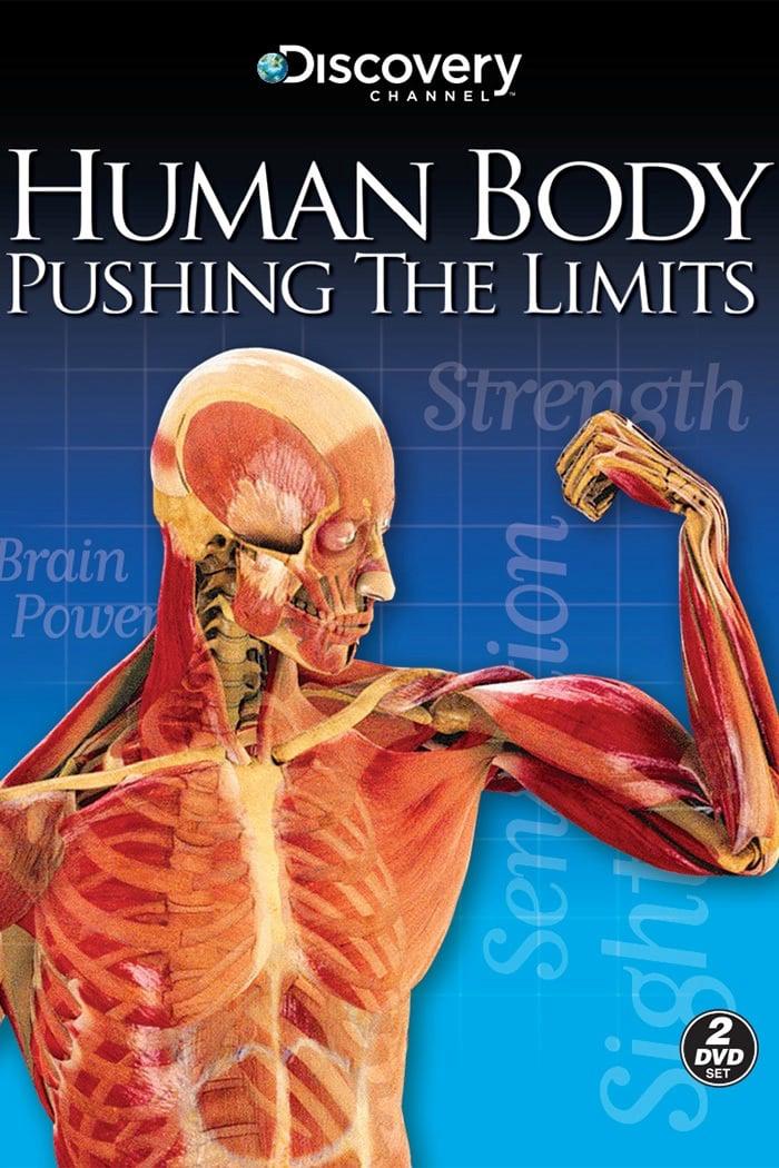 Thumber Human Body: Pushing the Limits