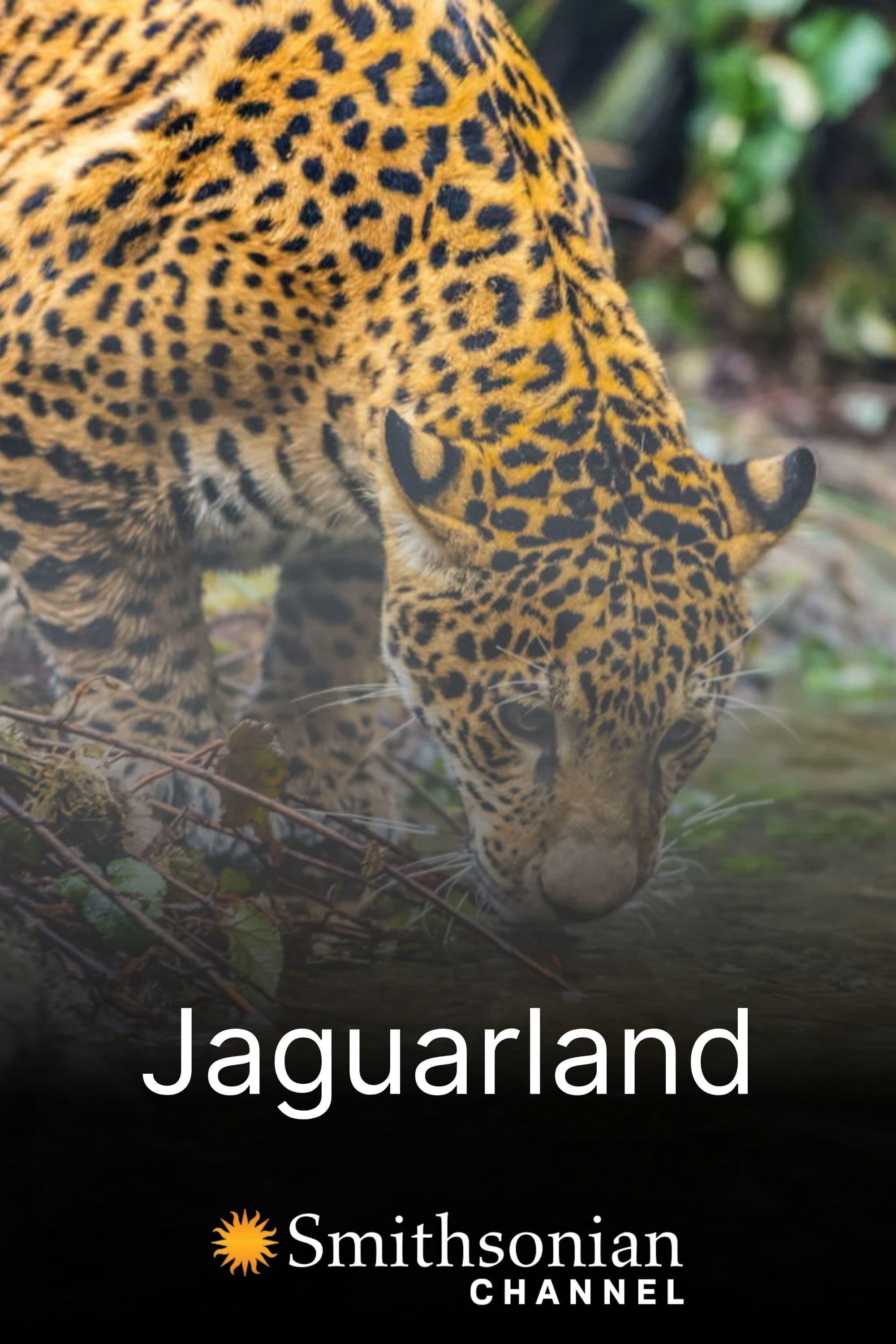 Thumber Jaguarland