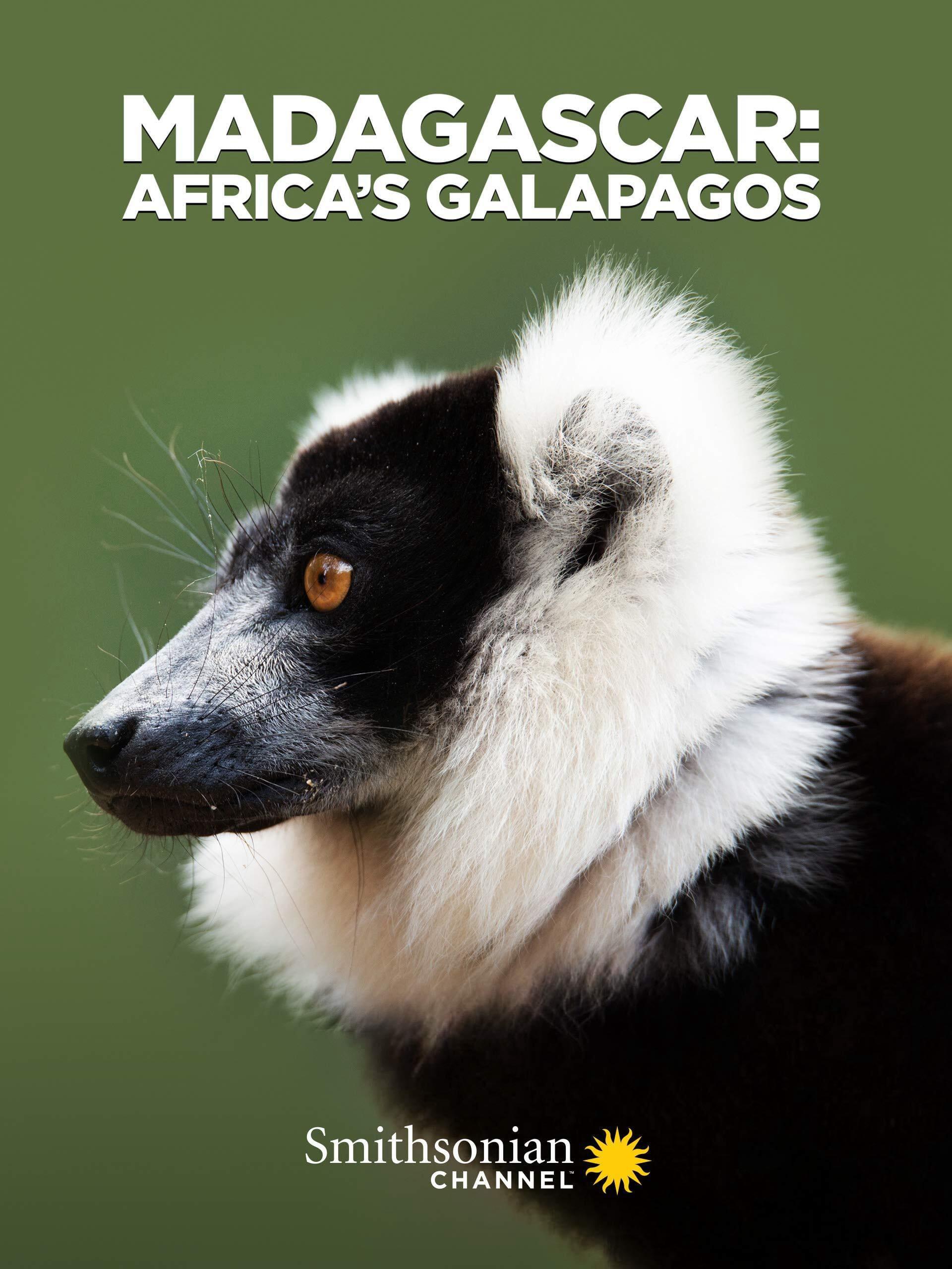 Thumber Madagascar: Africa's Galapagos