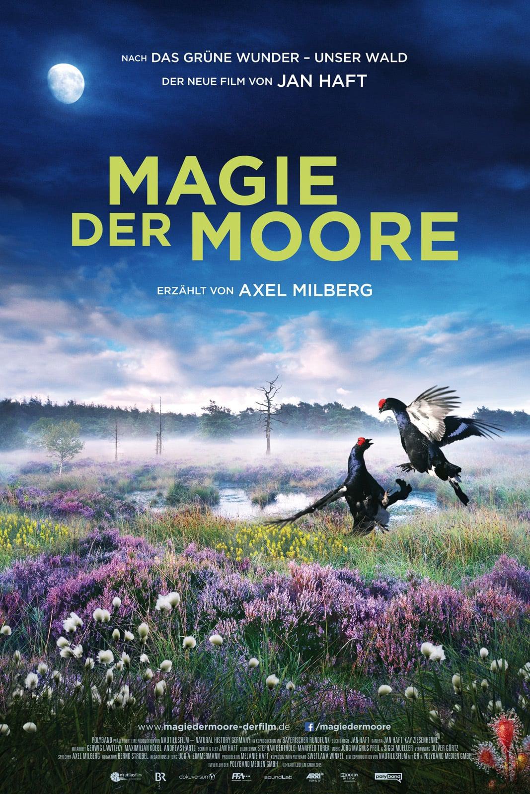 Thumber Magie der Moore