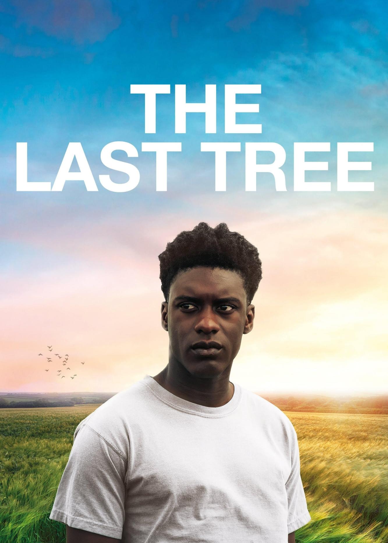 Thumber The Last Tree