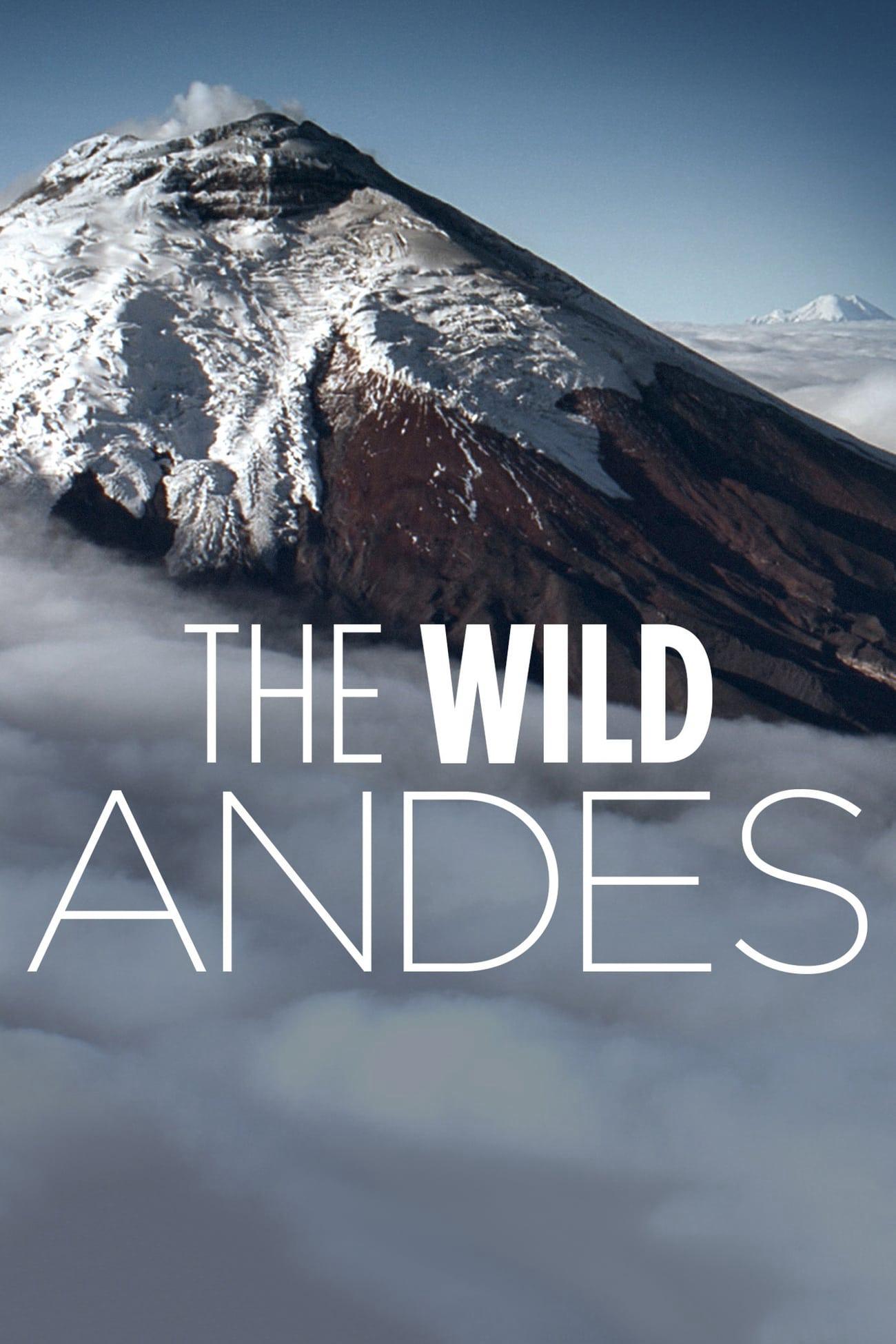 Thumber The Wild Andes